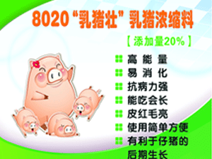 20%乳猪浓缩饲料8020